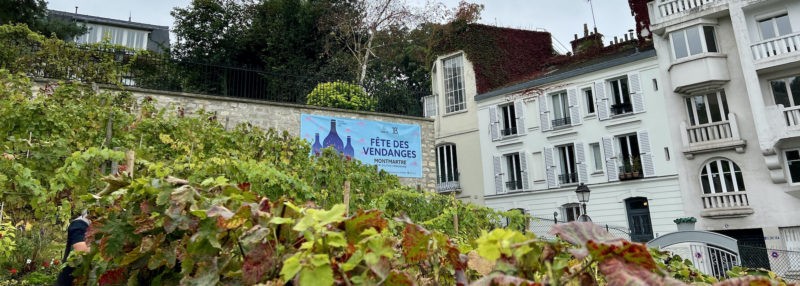 programme-fete-des-vendanges-montmartre-2024